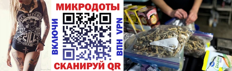 Псилоцибиновые грибы Magic Shrooms  МЕГА онион  Нижняя Салда 